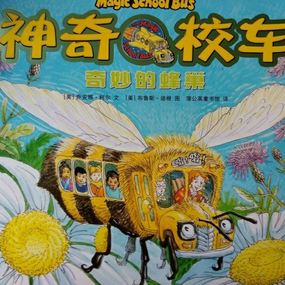 神奇校车 奇妙的蜂巢