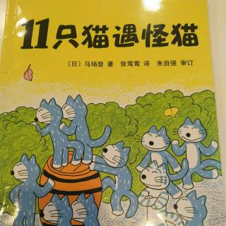 《11只猫遇怪猫》