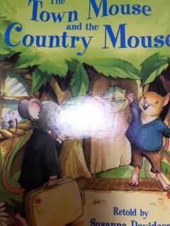The town mouse and the country mouse-20171204