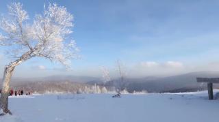 雪花飞时去看梅～沉淀