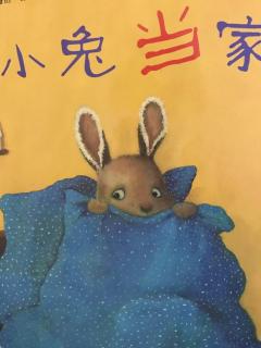 小兔子讲故事【小兔当家】