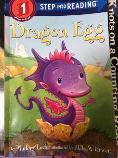 【兰登1】Dragon Egg