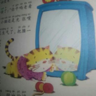 镜子里的小花猫🐱