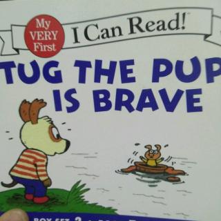 tug the pup is brave