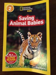 Saving animal babies