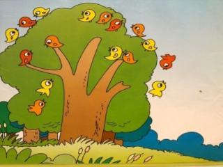 第四十八期「小鸟和大树」