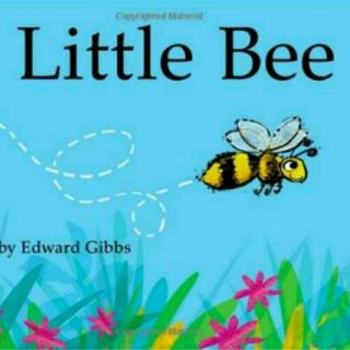 【英语故事】Little Bee