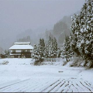 迟子建-我的世界下雪了