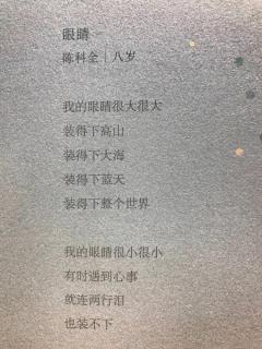 眼睛（陈科全诗 费一轩曲）