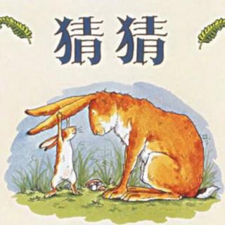 《猜猜我有多爱你》