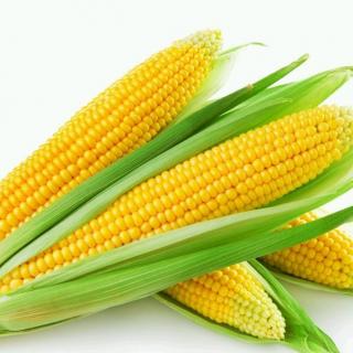 小耳朵👂听故事～玉米