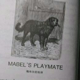 美国小学语文第三册  MABEL'S PLAYMATE