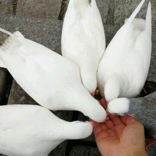 module9 unⅰt1 unit2