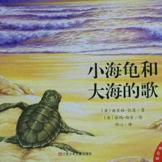 《小海龟和大海的歌》