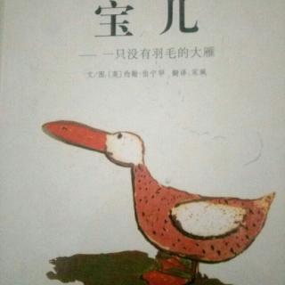 宝儿-----一只没有羽毛的大雁