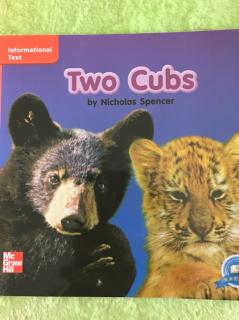 分级读物～Two Cubs