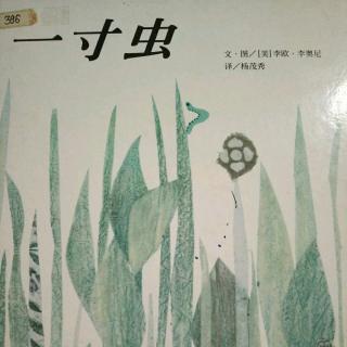 一寸虫 