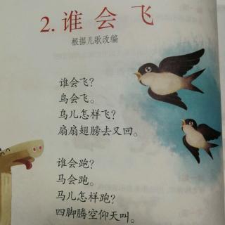 背诵《谁会飞》