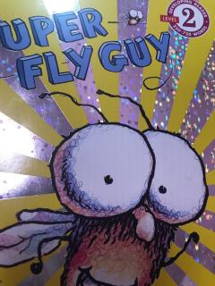Super fly guy-20171206