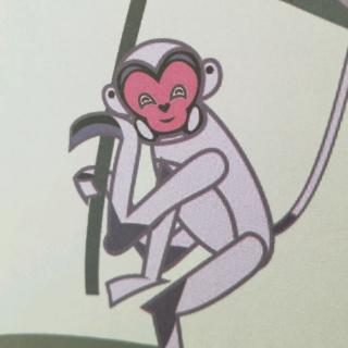 动画中国——猴子盖房