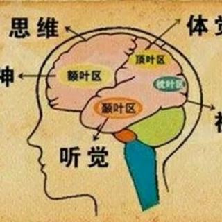 《重塑你的大脑》第一天