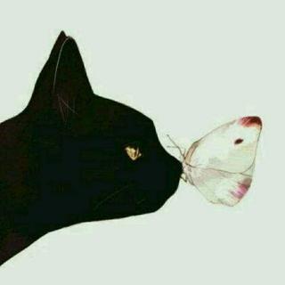 曹文轩的蜻蜓眼15