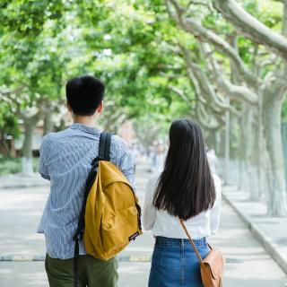 【薇声细雨】如果的事