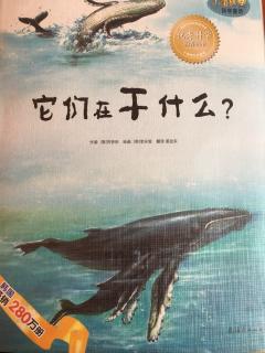 58.它们在干什么？