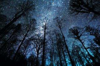 钢琴曲-《夜空中最亮的星》