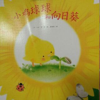 day26亲子共读《小鸡球球和向日葵》