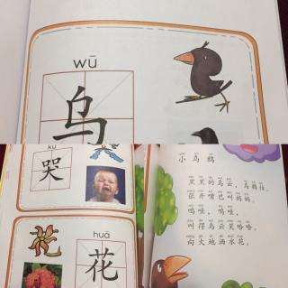 绕口令《小乌鸦》