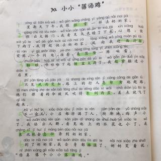 《小小“落汤鸡”》