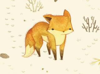 狐狸的冬日冒险