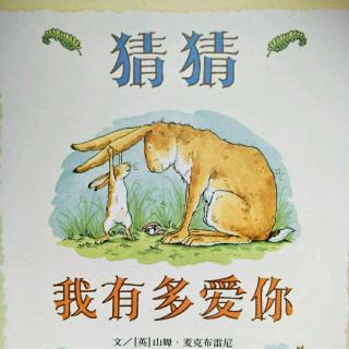 猜猜我有多爱你1