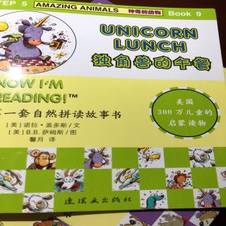 Unicorn lunch 独角兽的午餐