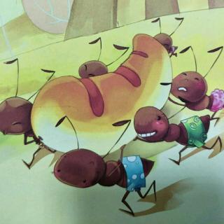 29.蚂蚁和蝈蝈