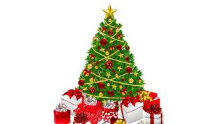 73《最漂亮的圣诞树》