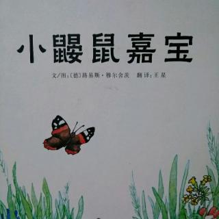 小鼹鼠嘉宝