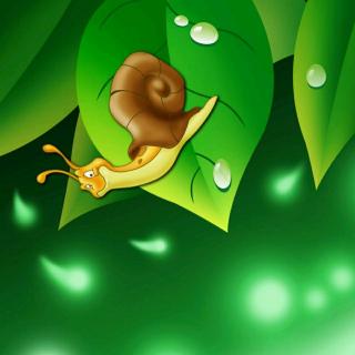 蜗牛的小灯笼～果子姐姐