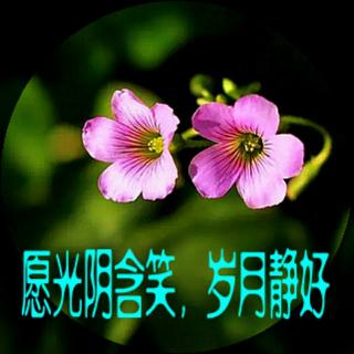 《愿光阴含笑  岁月静好》/网络文字