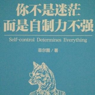 《你的迷茫皆因自制力不强》～决定自制力的因素