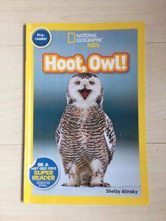 国家地理kid-Hoot, Owl！