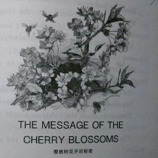 美国小学语文第三册   THE MESSAGE OF THE CHARRY BLOSSOMS