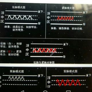 学中医把脉脉诊歌