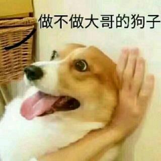 动物园里有😂