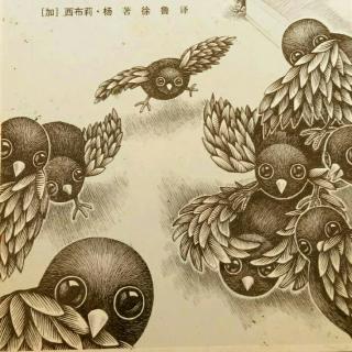 《十只小鸟斗怪兽》