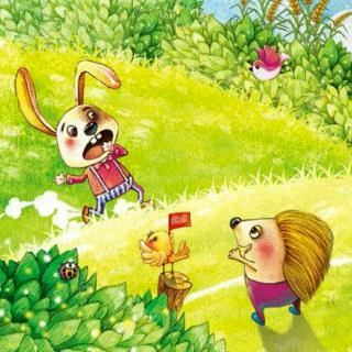 第二十九期《兔子和刺猬》 杨老师