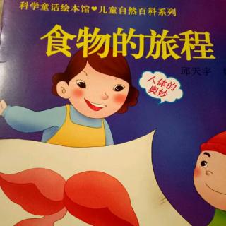 食物的旅程