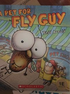 A Pet for fly guy