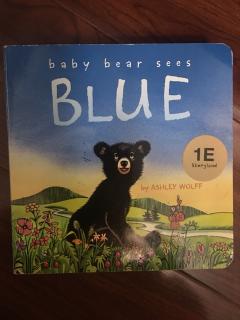Baby bear sees blue